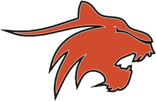 1480 Wcns Provides Live Coverage Of Greater Latrobe - Greater Latrobe Wildcats Logo (522x346)
