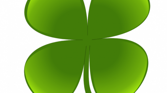 Approved Images Of Four Leaf Clovers 4 Clover Clipart - Four-leaf Clover (585x329)