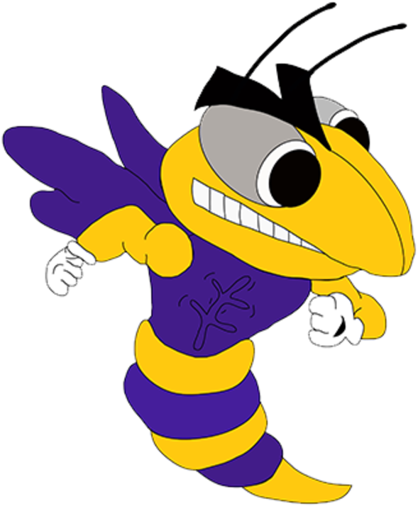 P - Pine Bluffs High School Wyoming (720x720)