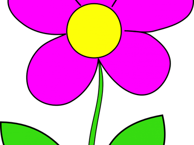 Pink Cartoon Flowers - Parts De La Flor (640x480)