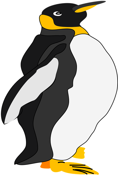 Emperor Penguin Clipart Cartoon - Emperor Penguin Cartoon Png (507x720)