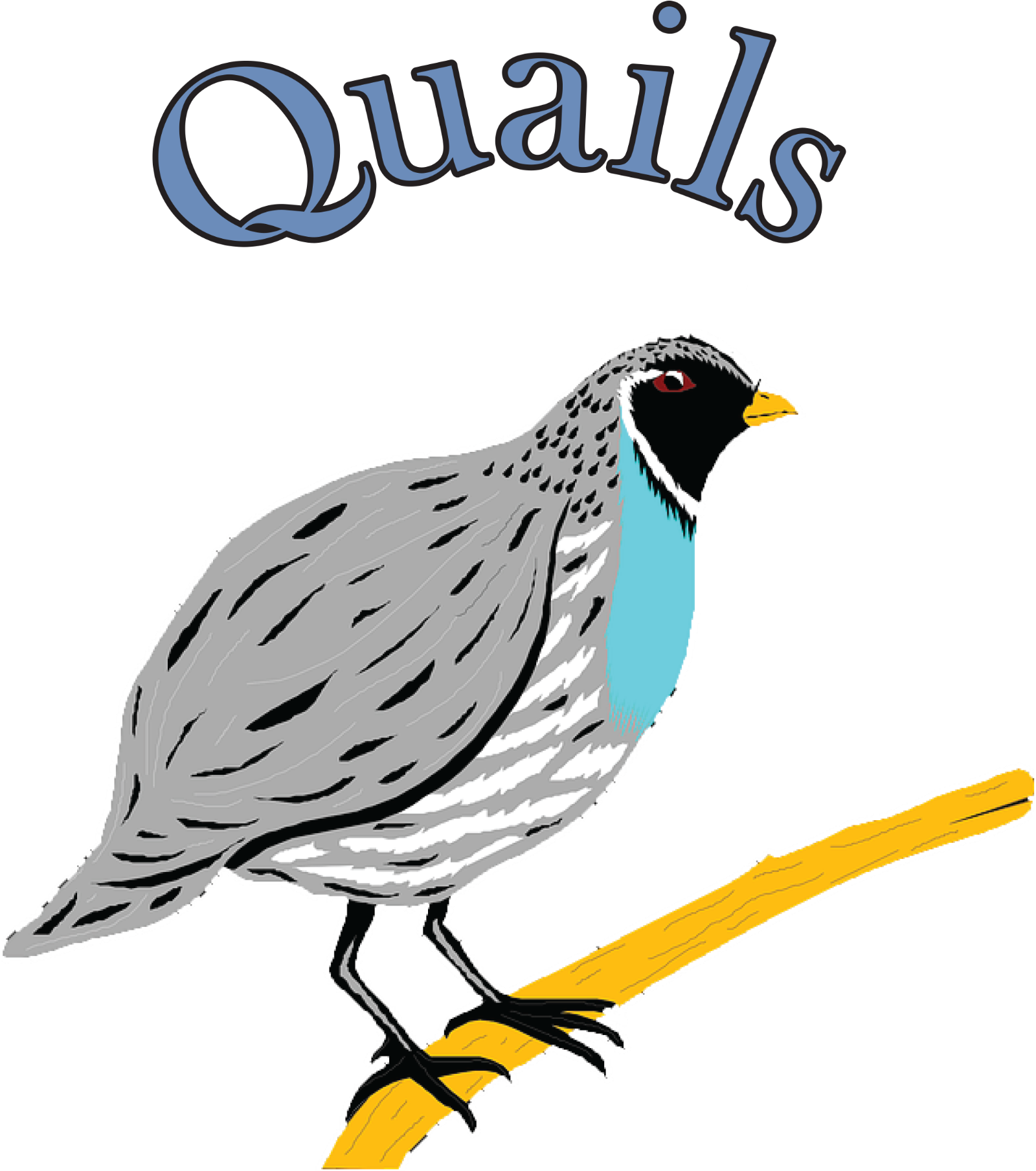 Quails - Quail (1791x2000)