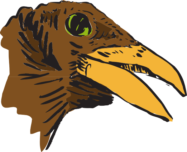 Quail Head Clip Art - Head Of Bird Clipart (1280x1036)