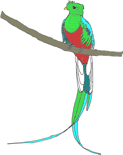 Quetzal Free Images At Clker Com Vector Clip Art Online - Quetzal Clipart Png (434x639)