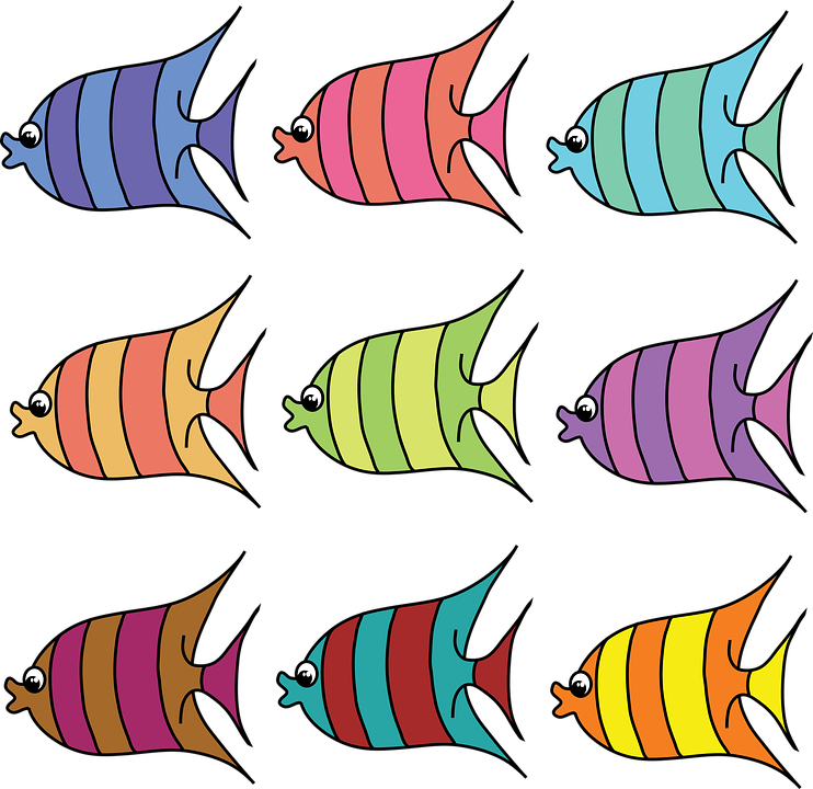 Quail Hunting Cliparts 29, Buy Clip Art - Printable Colored Fish (773x750)
