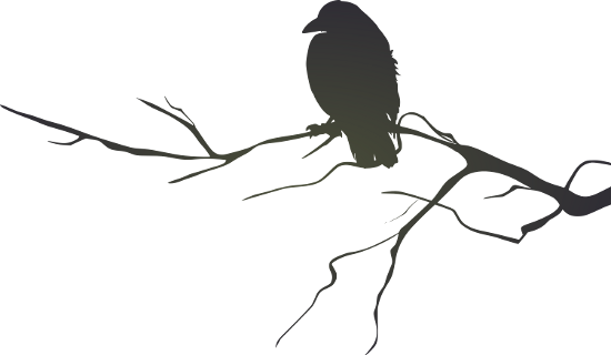Bird On Branch Clipart Silhouette - Raven On A Branch Silhouette (550x320)