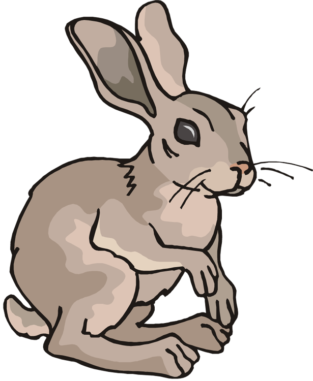 Arctic Hare Rabbit Cartoon Clip Art - Arctic Hare Rabbit Cartoon Clip Art (615x750)