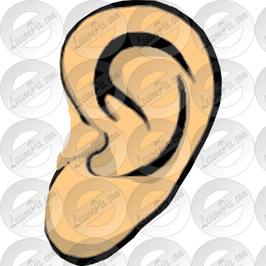 Ear Picture - Illustration (380x380)
