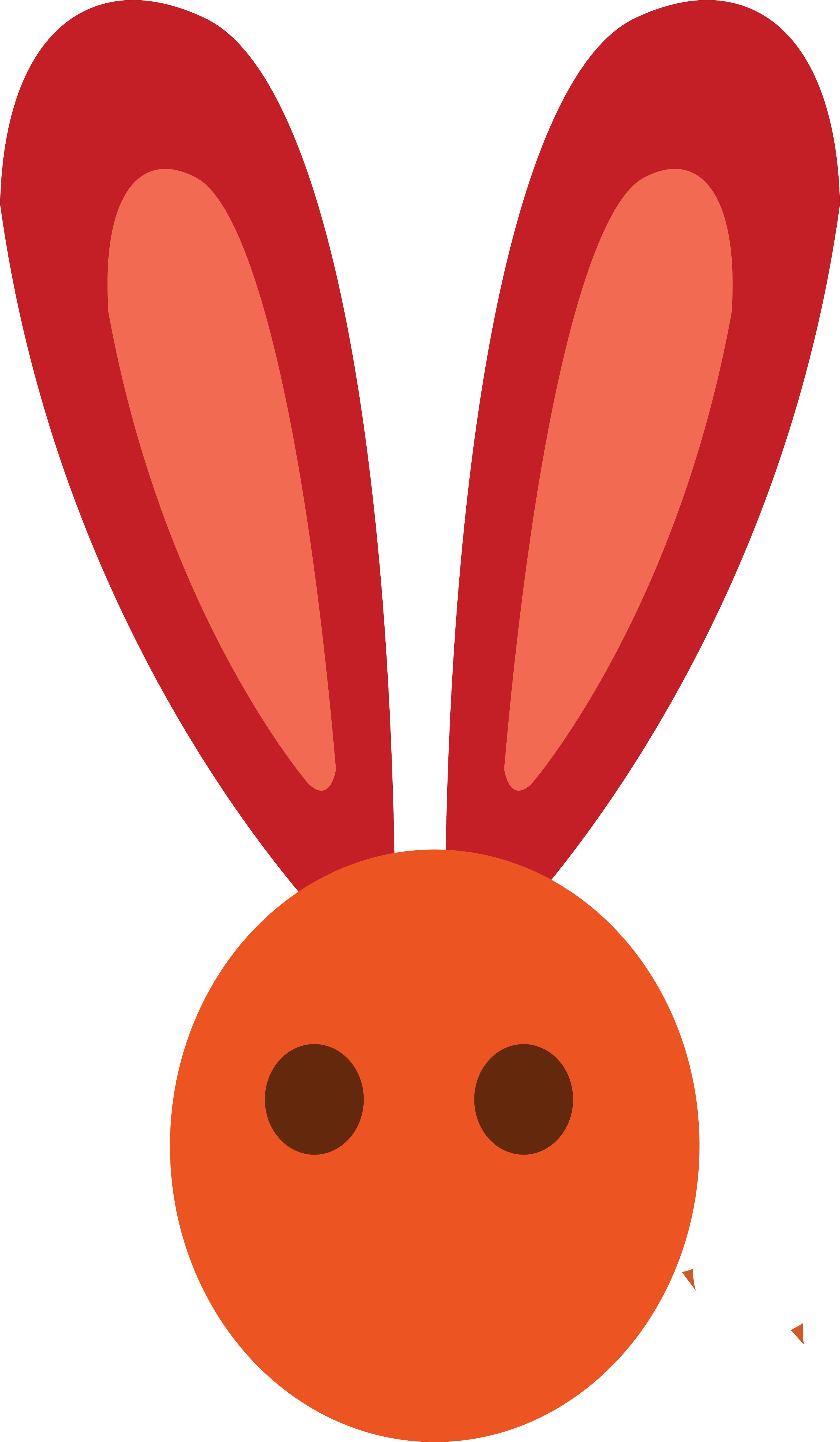 European Rabbit Leporids Domestic Rabbit Ear - European Rabbit Leporids Domestic Rabbit Ear (3001x5147)