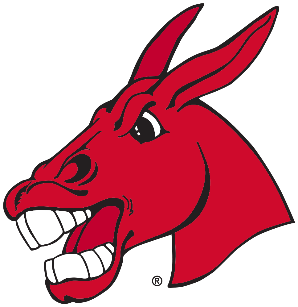 Aa7r9b - University Of Central Missouri Mascot (1000x1000)