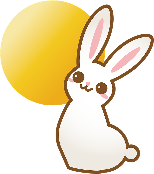 Rabbit, Bunny, Animal, Cute - Rabbit (640x720)