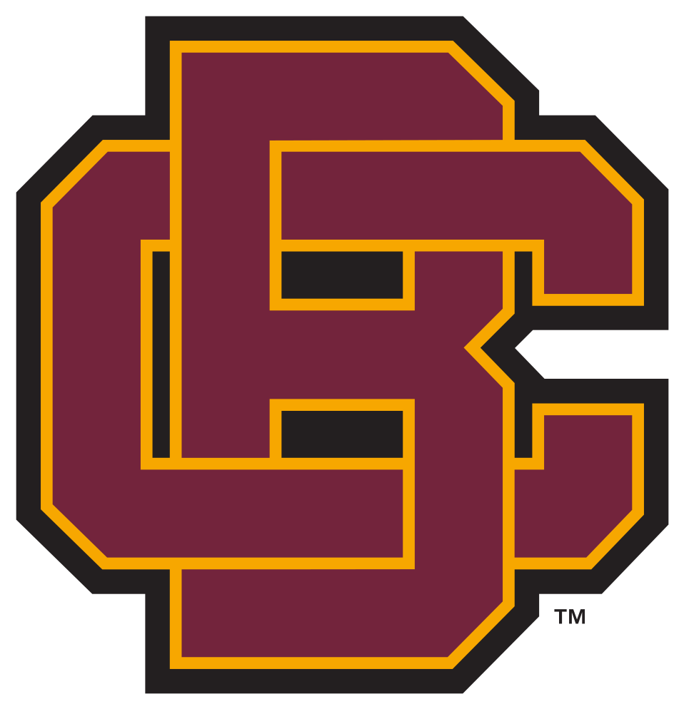1 - Bethune-cookman Wildcats Removable Wall Decal Logo (1000x1000)