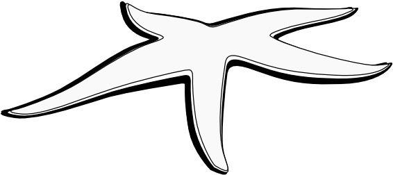 Artfavor Starfish 1 Black White Line Art Scalable Vector - Line Drawing Of A Starfish (569x264)