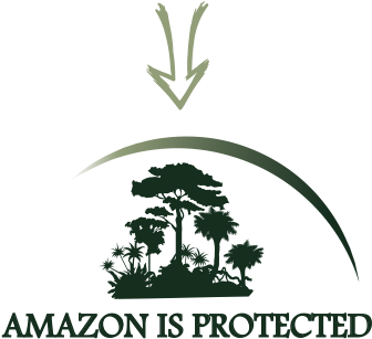 Arc Amazon Project Graphic Part4 - Tree (800x325)