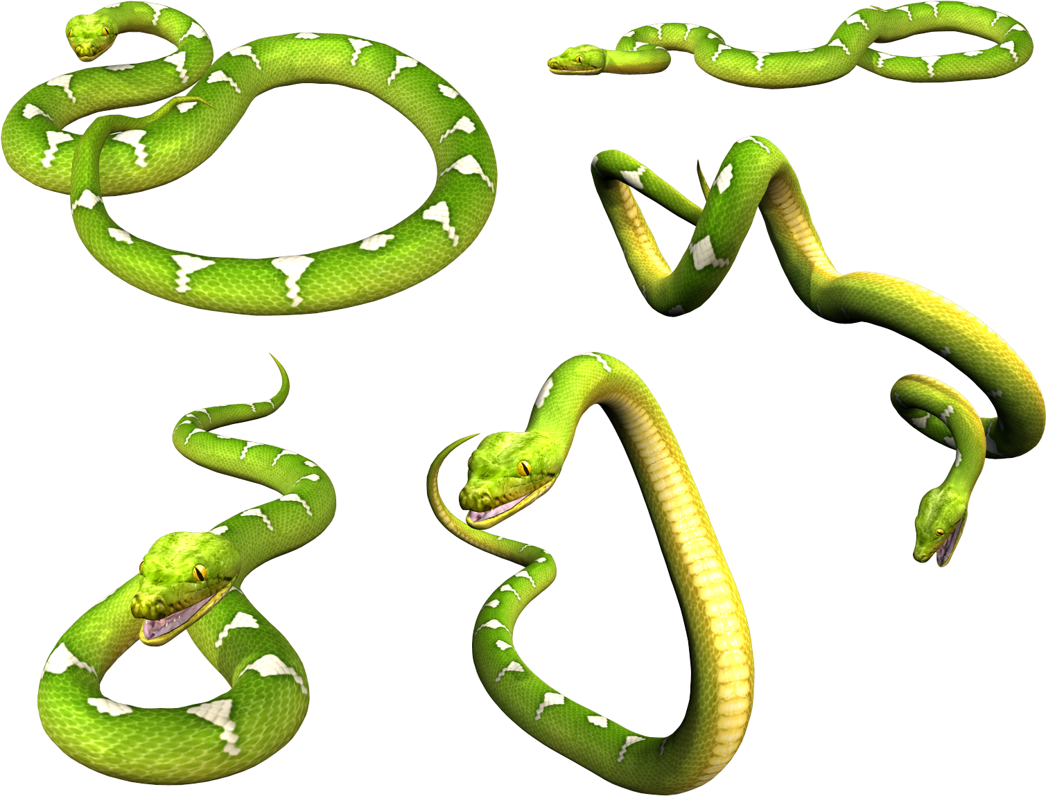 Green Snake Png (1667x1289)