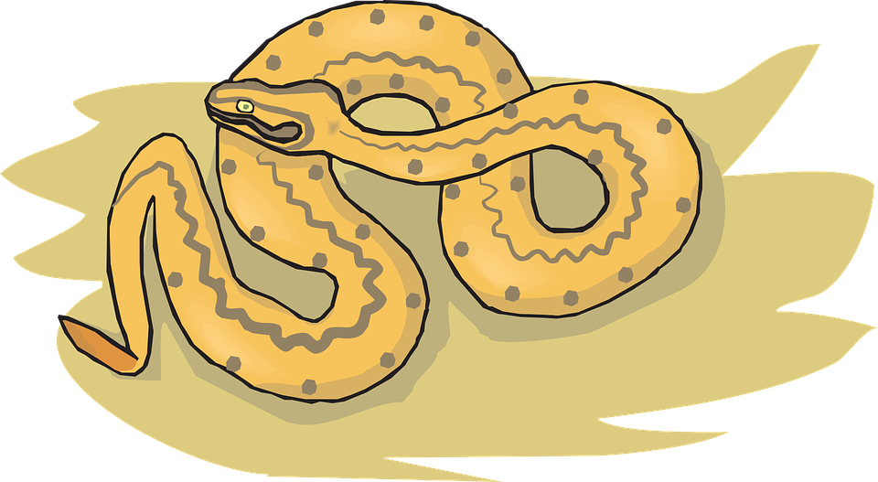 Cartoon Snakes Pictures 12, Buy Clip Art - Reptile (960x527)