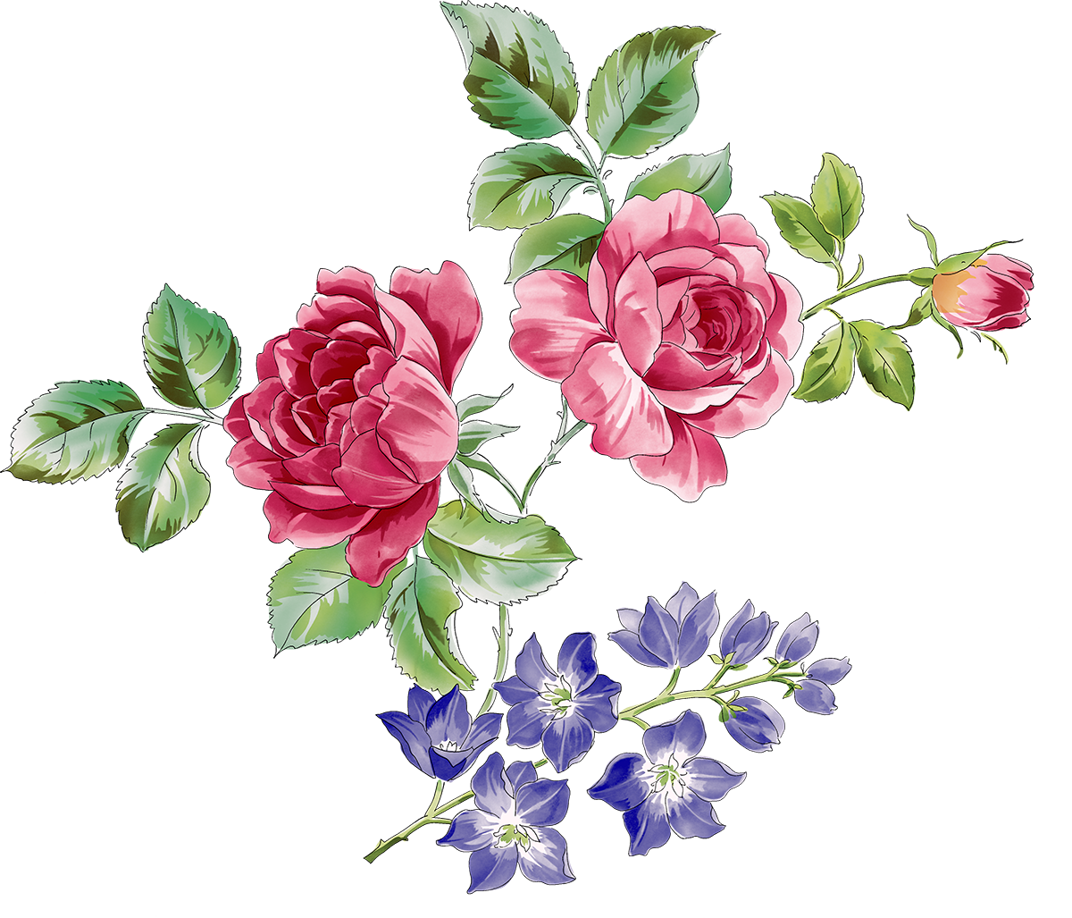 Rosa Chinensis Beach Rose Flower Clip Art - Rosa Chinensis Beach Rose Flower Clip Art (1200x1027)
