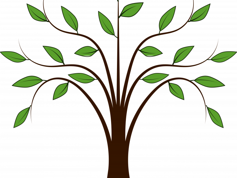 Download Pleasing Free Family Tree Clip Art - Download Pleasing Free Family Tree Clip Art (800x600)