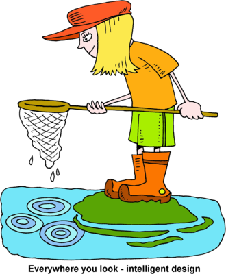 Image - Fishing Net Clip Art (330x400)