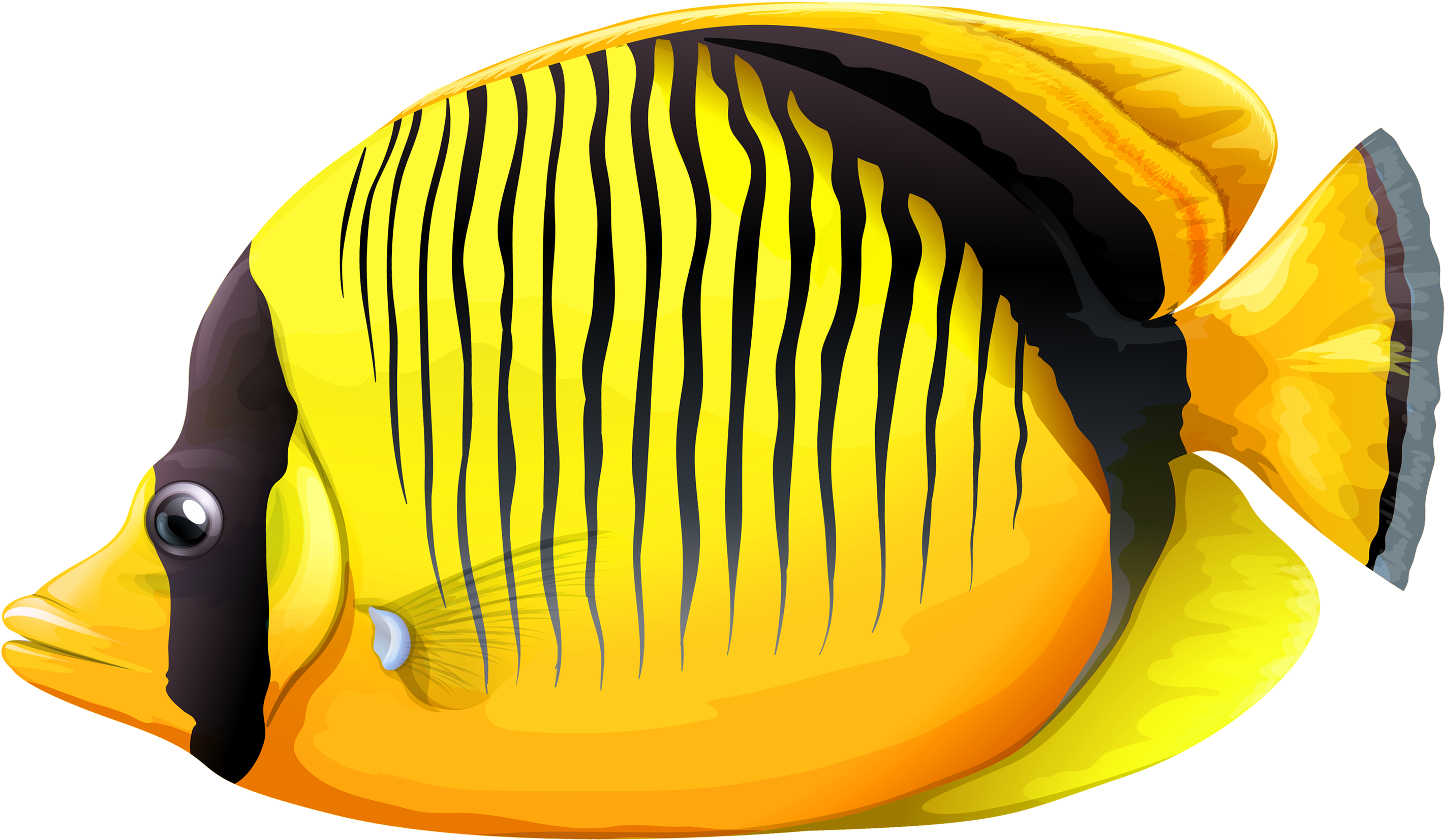 Yellow Butterfly Fish Png Clipart - Fish Clipart Png (3000x1819)