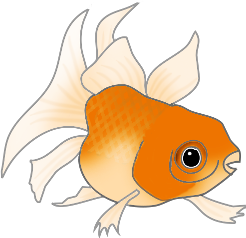 Fish Clip Art - Bufo (524x492)