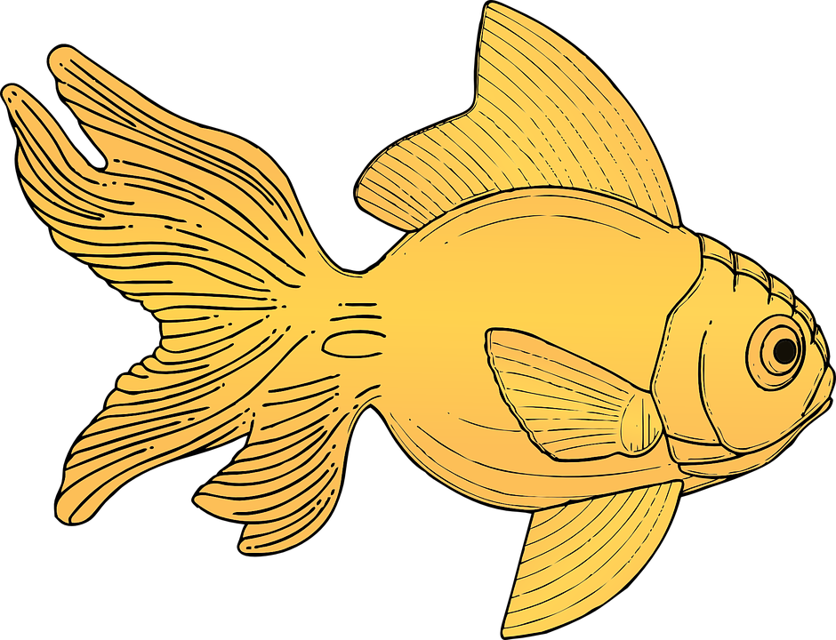 Goldfish Cliparts Girl 12, - Gold Fish Clipart (940x720)