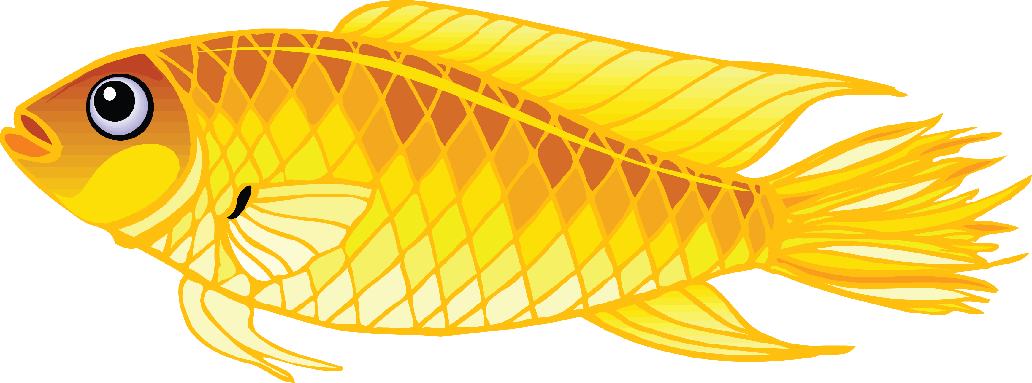 Gold Fish Clipart Different Fish - Transparent Background Fish Clip Art (3477x1292)