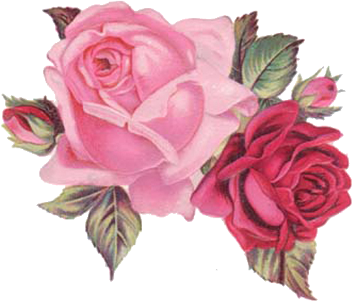 Vintage Flowersart - Viktorianische Winter-rosen Danken Ihnen Zu Karte (500x430)