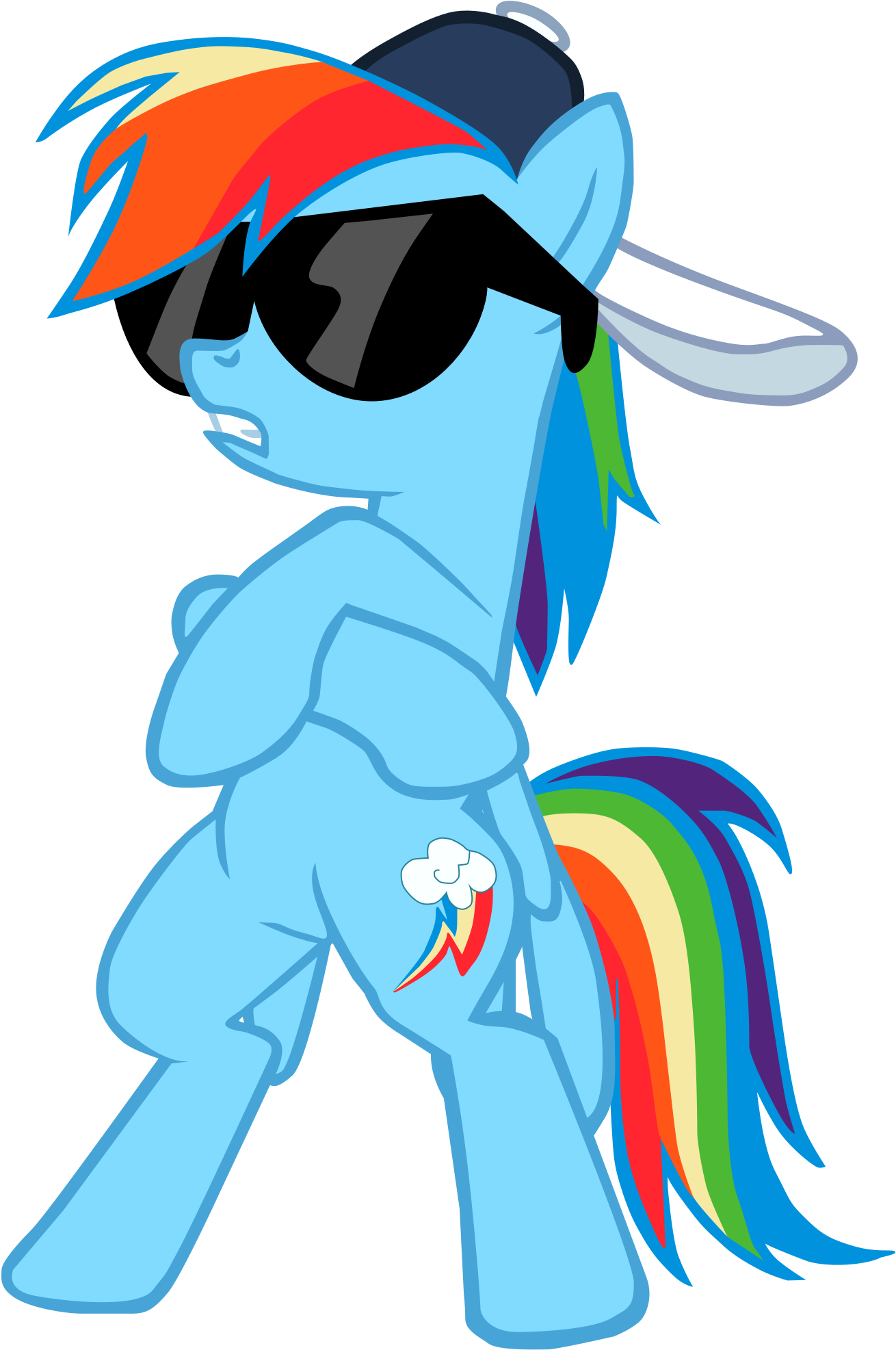 Rainbow Dash - Swag Rainbow Dash (1316x1992)