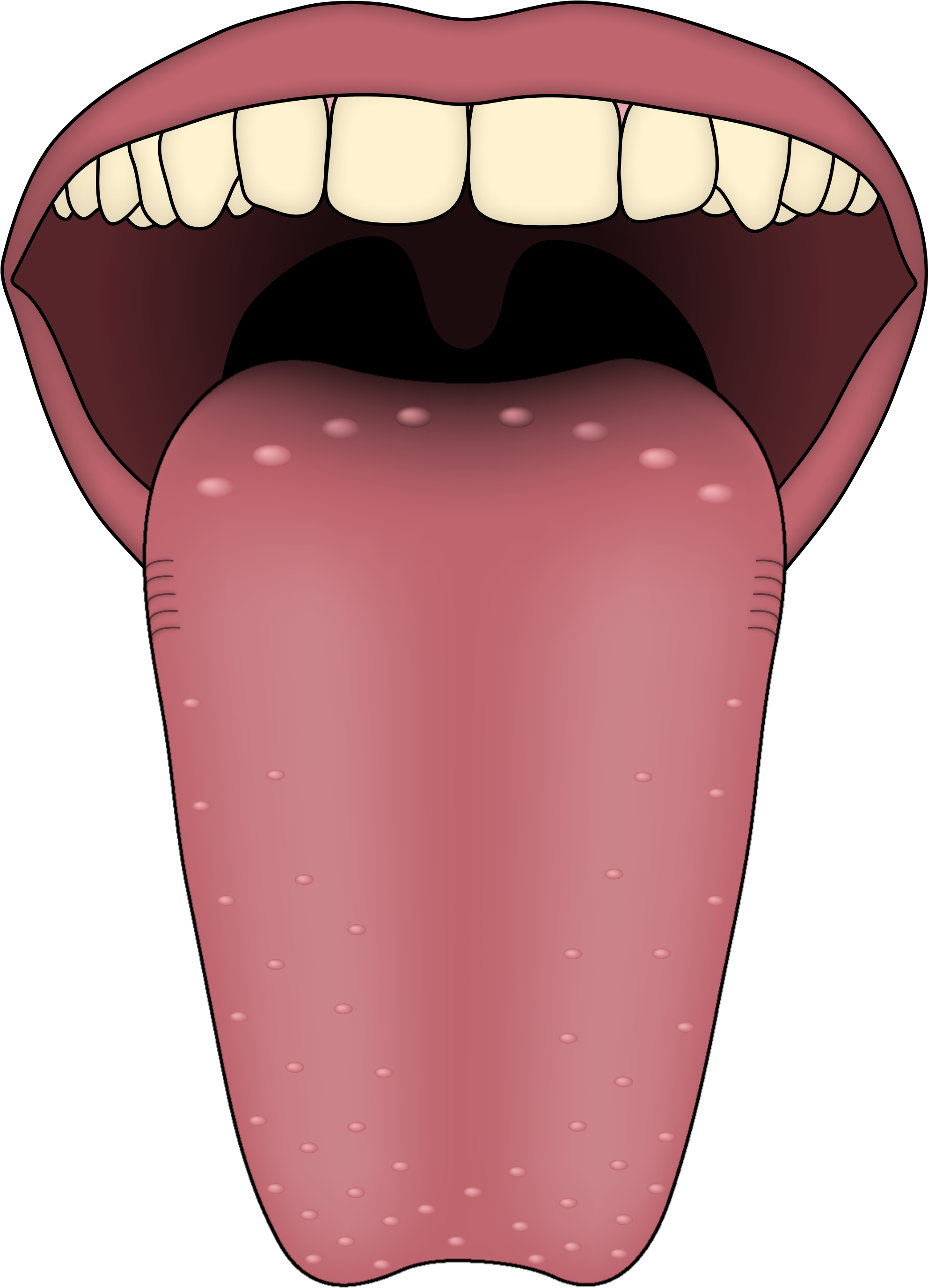 Sense Organs Tongue Clipart (2000x2774)
