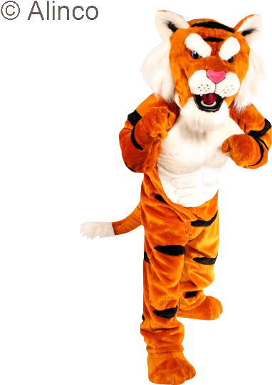 Image - Power Cat Tiger Costume (576x576)