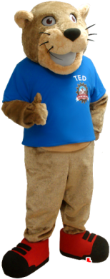 Beige Tiger Mascot With A Blue Shirt - Mascot (300x400)