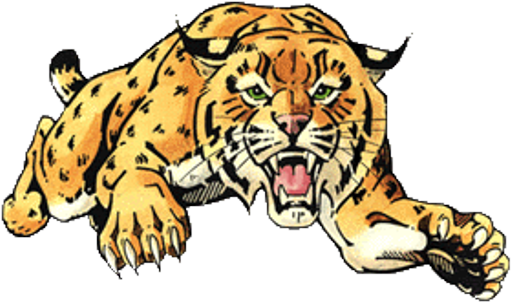 Bengal Clipart Wildcat - Chisago Lakes Wildcats Logo (1024x607)