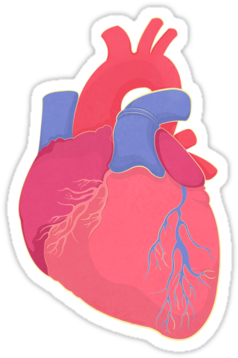 Happy Valentine Stickers By Anmgoug On Redbubble - Valentine Heart Shower Curtain (375x360)