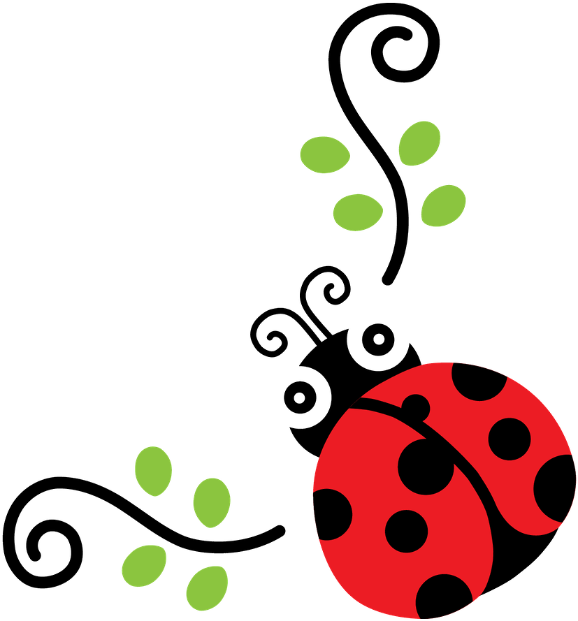 Ground Clipart Ladybug - Ladybird Beetle (900x900)