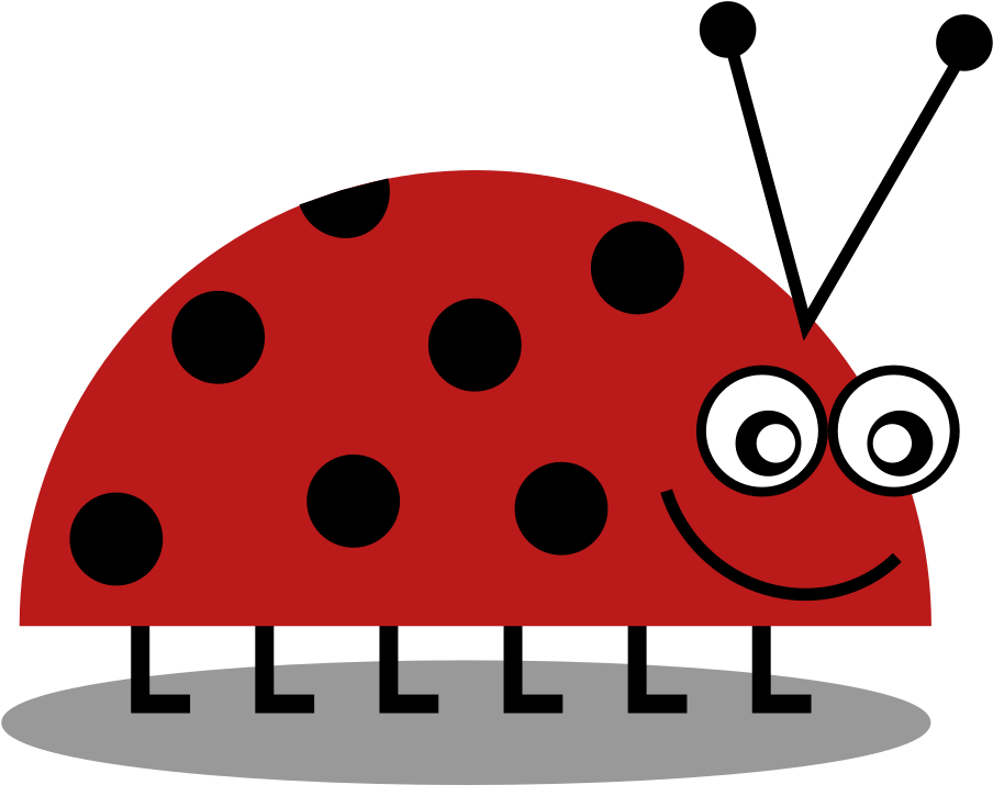 Ladybug - Ladybird Beetle (1000x791)