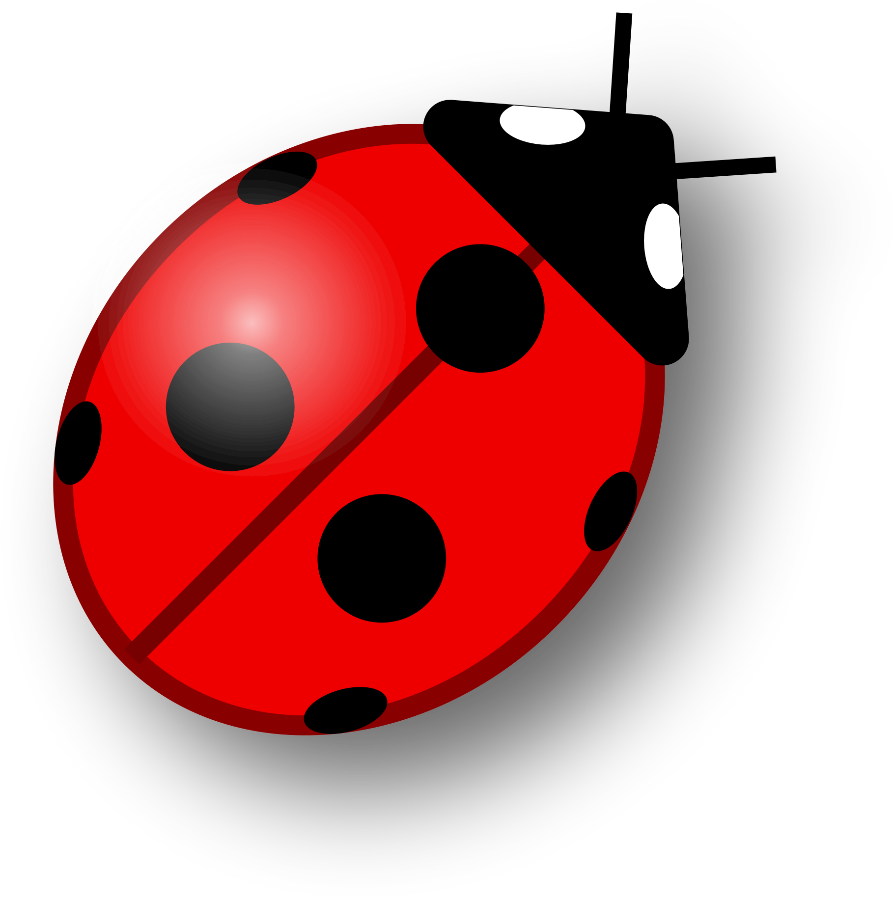 Ladybug For Clipart Ladybug On Leaf 15lptgx - Ladybug For Clipart Ladybug On Leaf 15lptgx (1818x1827)