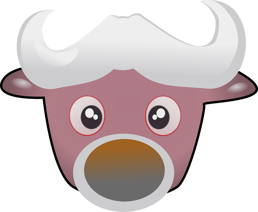 Cow, Beef, Cattle, Cute, Head, Farm Animal - หัว วัว น่า รัก (750x750)