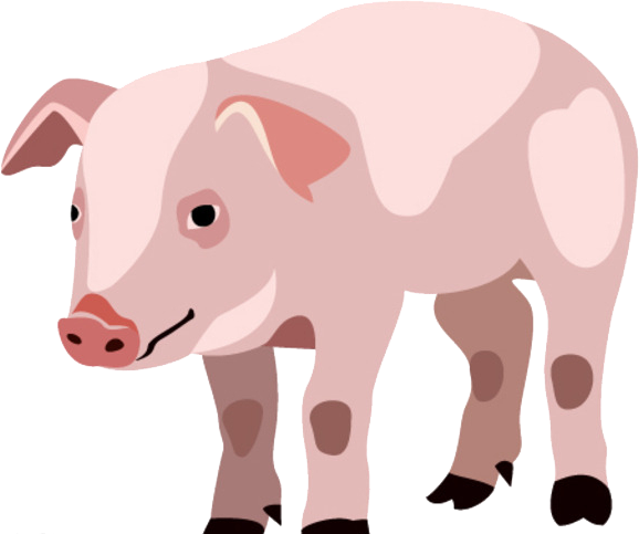 Piglet Domestic Pig Cartoon - Domestic Pig (578x483)