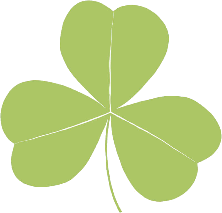 Clover Leaf Images New Cloverleaf Stock Illustration - Clover Leaf (800x800)
