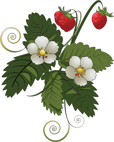 Strawberry Plant Vector Image Public Domain Vectors - Strawberry Tree Clip Art (400x500)
