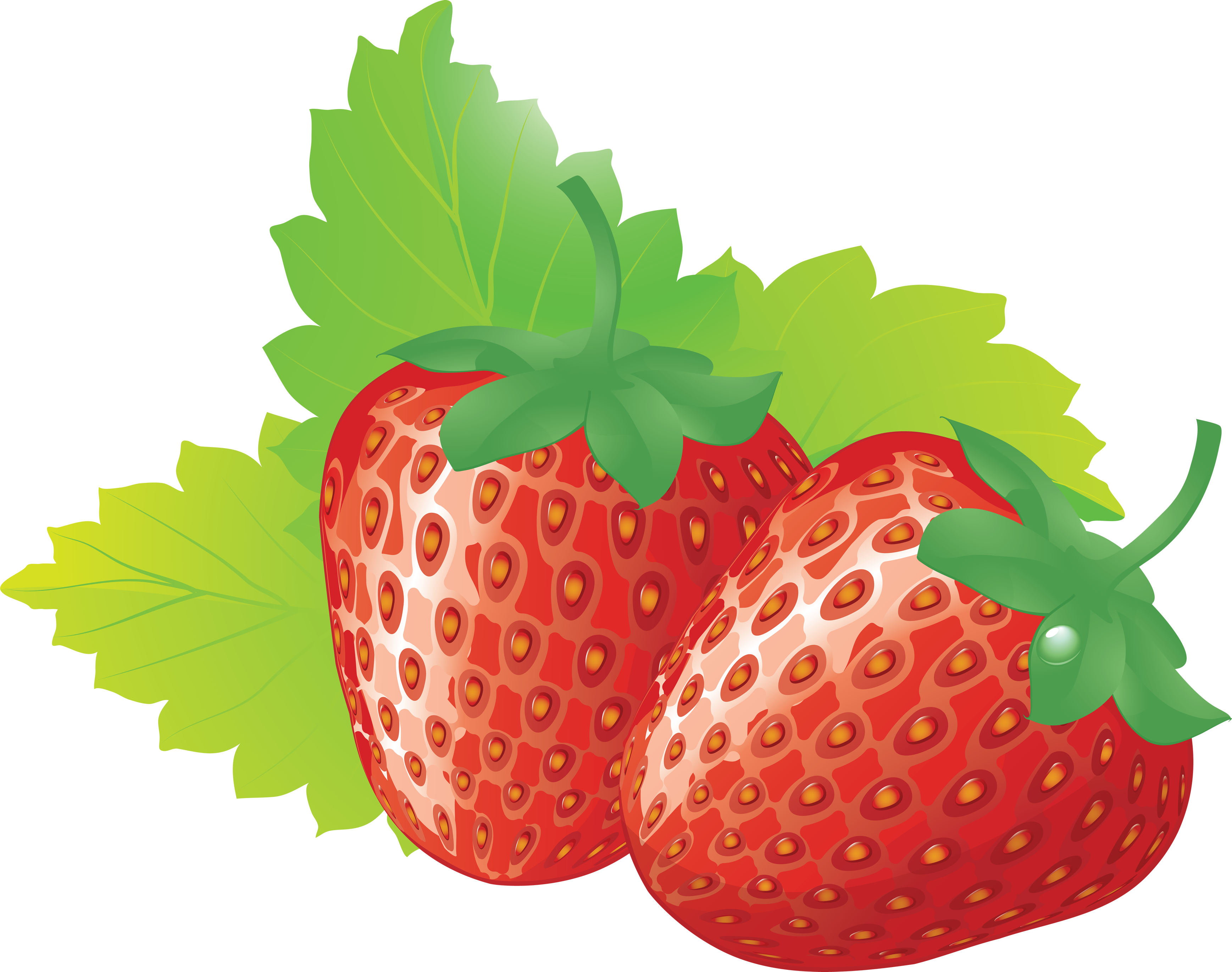 Comely Strawberry Clip Art Images Medium Size - Comely Strawberry Clip Art Images Medium Size (3474x2742)