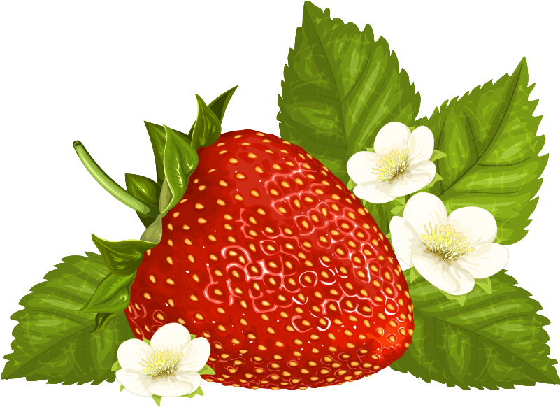 Strawberry Clip Art Free Clipart Images - Clip Art (824x597)