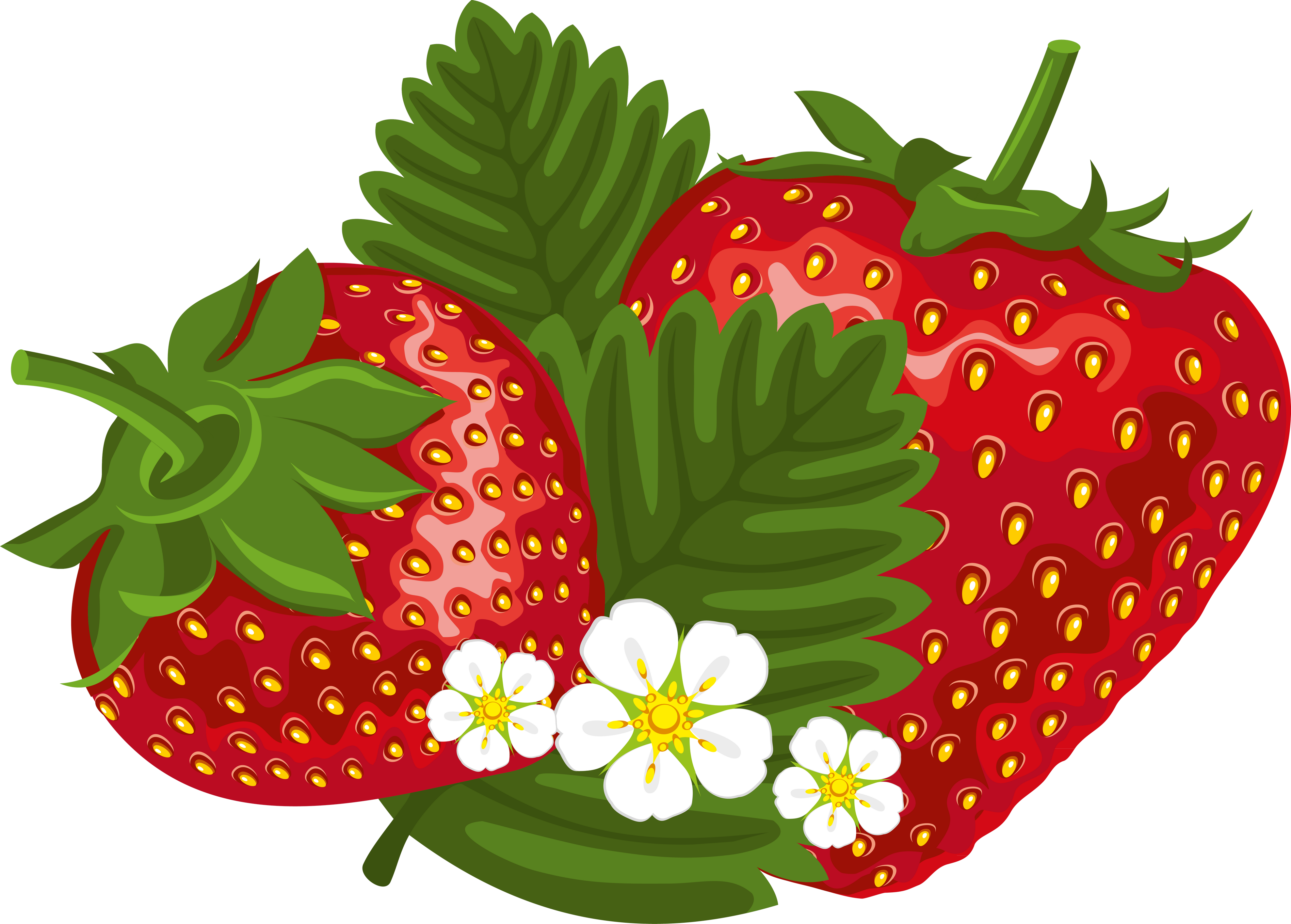 Strawberry Clip Art - Strawberry Clip Art (3953x2830)