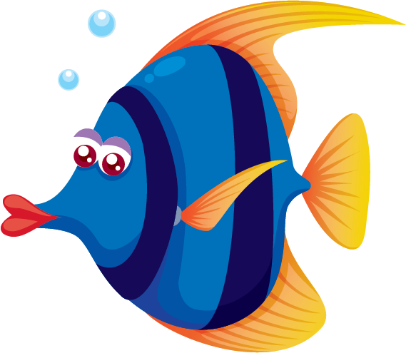 About Paradise Baby Co - Fish (569x495)