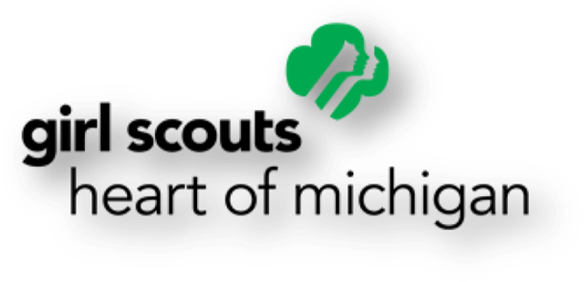 Girl Scouts Of The Usa Wikipedia - Girl Scouts Silver Award (600x338)