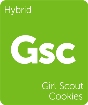Girl Scout Cookies Weedmecca - Ncr Logo (900x962)