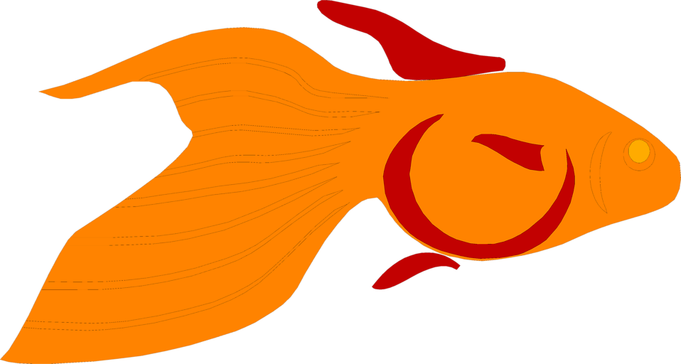 Illustration Of A Goldfish - Clip Art (958x512)