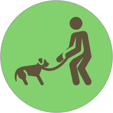 Charleston Dog Training Training Services Pulling While - Say No To Abortion (434x434)