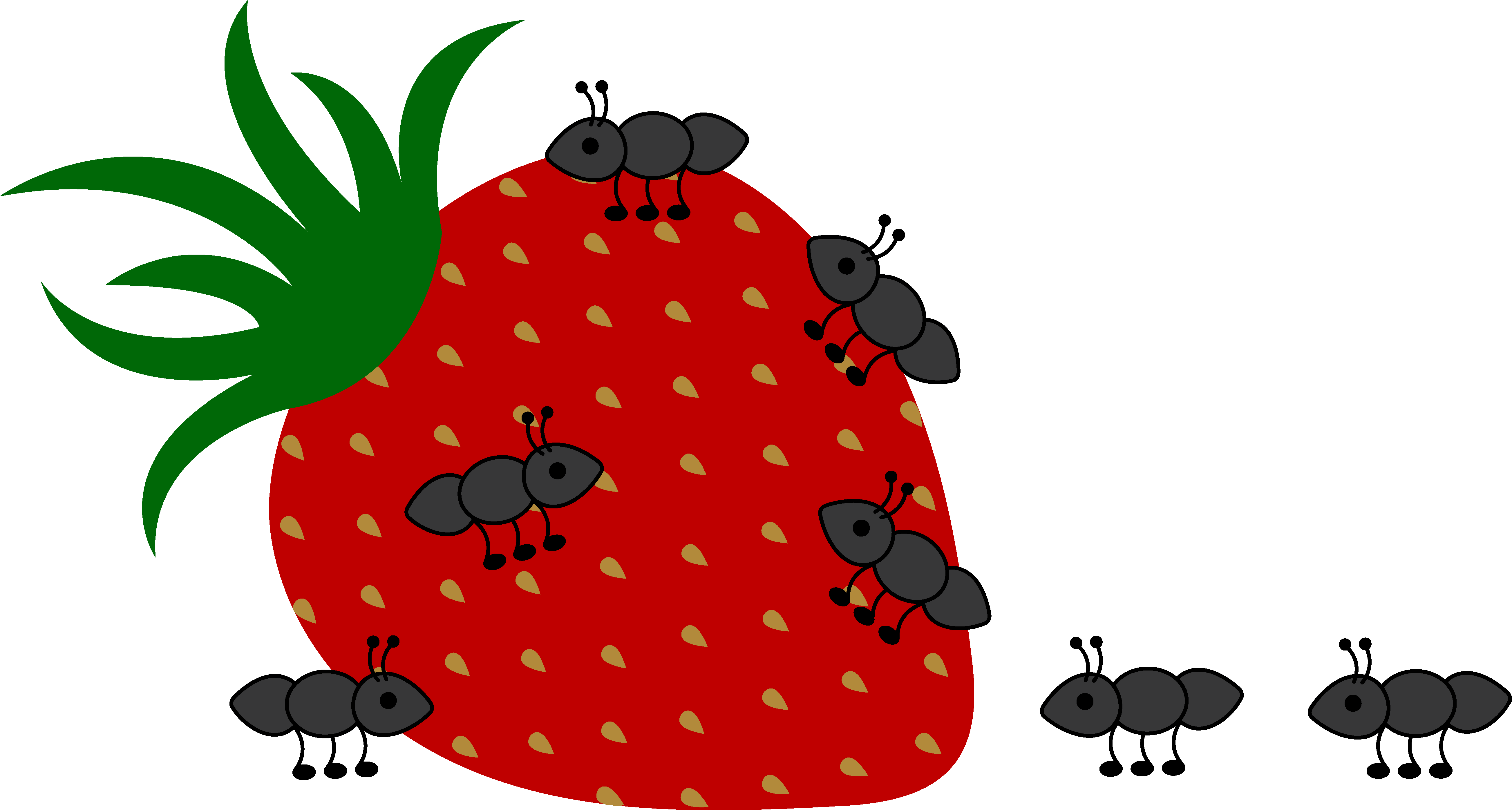 Ants Crawling On Strawberry - Sad Quotes About Love (5212x2793)